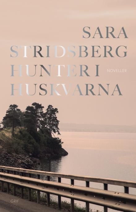 Sara Stridsberg: Hunter i Huskvarna - forside